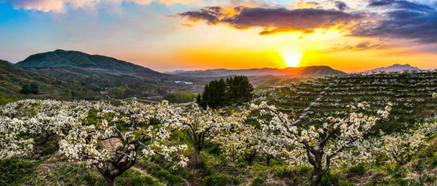 image003 (2).jpg image003 (2).jpg