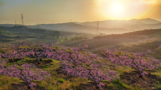 image009 (2).jpg image009 (2).jpg